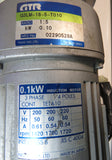 GTR G3LM-18-5-T010 Induction Motor